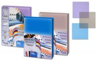 PROFI OFFICE Обложки ProfiOffice, A4, пластик, 280 мкм, двусторонние глянец/мат, синие, 100 шт. (profioffice_39005)