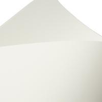 TOUCHE COVER бумага дизайнерская тактильная 66 х 101,6 см, 301 г/м2, 1 лист (цвет натуральный белый)
