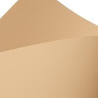 TOUCHE COVER бумага дизайнерская тактильная 66 х 101,6 см, 301 г/м2, 1 лист (цвет бежевый)