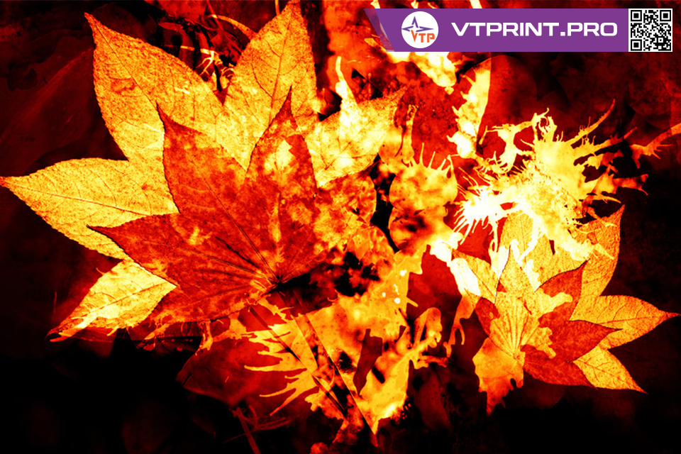 Горячая осенняя акция от "Высоких технологий печати"!